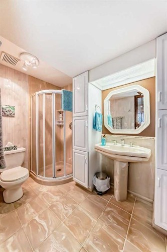 29 Deer River Green Se, Calgary, AB - Indoor Photo Showing Bathroom