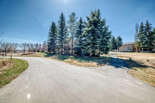 29 Deer River Green Se, Calgary, AB - Outdoor