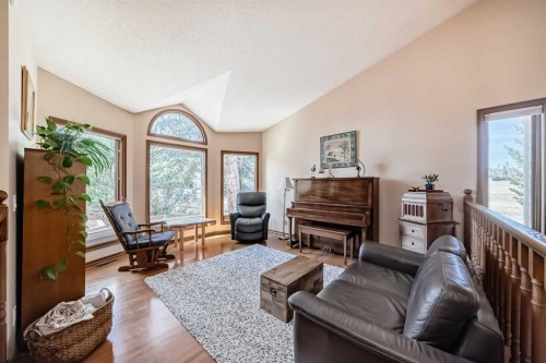 29 Deer River Green Se, Calgary, AB - Indoor Photo Showing Living Room