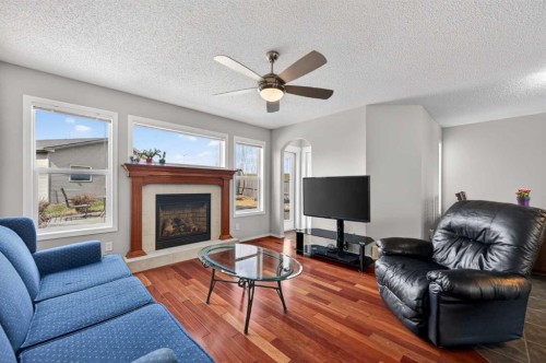 78 Cranberry Close Se, Calgary, AB - Indoor Photo Showing Living Room With Fireplace