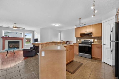 78 Cranberry Close Se, Calgary, AB - Indoor Photo Showing Kitchen With Fireplace With Double Sink