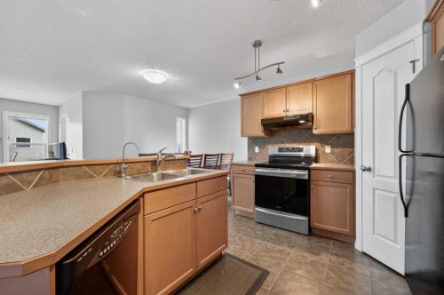 78 Cranberry Close Se, Calgary, AB - Indoor Photo Showing Kitchen With Double Sink