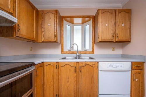 136 Hunterhorn Drive Ne, Calgary, AB - Indoor Photo Showing Kitchen With Double Sink