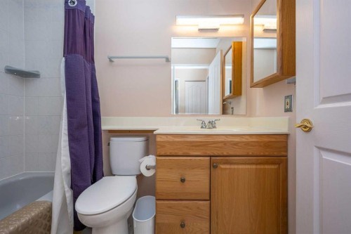 136 Hunterhorn Drive Ne, Calgary, AB - Indoor Photo Showing Bathroom