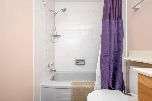 136 Hunterhorn Drive Ne, Calgary, AB - Indoor Photo Showing Bathroom