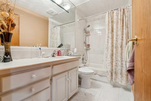 320 Whiteview Road Ne, Calgary, AB - Indoor Photo Showing Bathroom