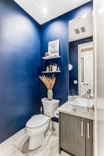 193 Kinniburgh Circle, Chestermere, AB - Indoor Photo Showing Bathroom