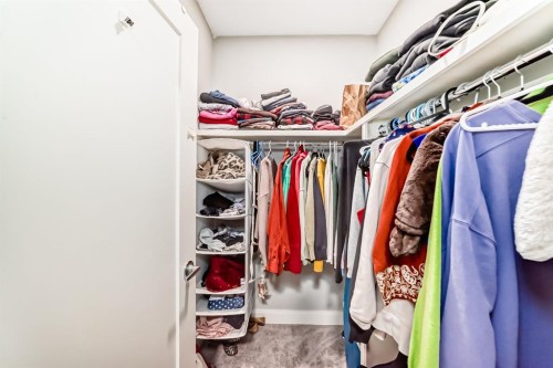 193 Kinniburgh Circle, Chestermere, AB - Indoor With Storage