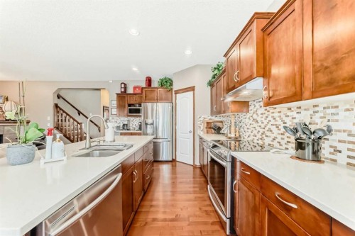 182 Chapalina Close Se, Calgary, AB - Indoor Photo Showing Kitchen With Stainless Steel Kitchen With Upgraded Kitchen