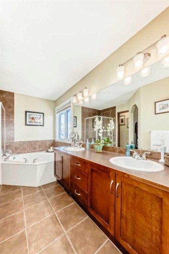 182 Chapalina Close Se, Calgary, AB - Indoor Photo Showing Bathroom