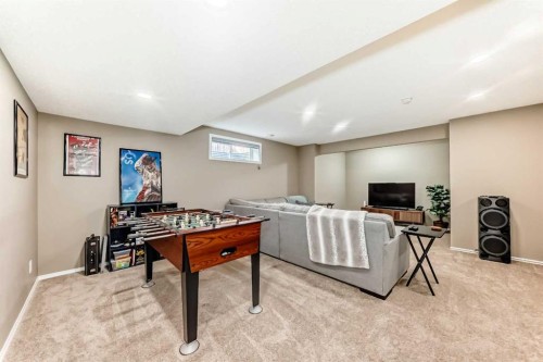 182 Chapalina Close Se, Calgary, AB - Indoor Photo Showing Basement
