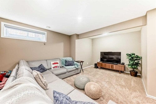182 Chapalina Close Se, Calgary, AB - Indoor Photo Showing Basement