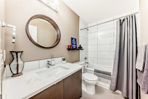 182 Chapalina Close Se, Calgary, AB - Indoor Photo Showing Bathroom