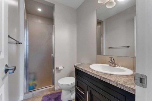 72 Cityscape Row Ne, Calgary, AB - Indoor Photo Showing Bathroom