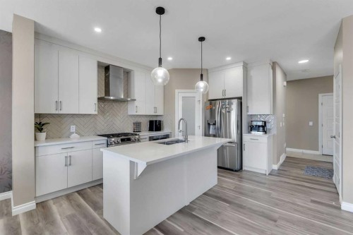 521 Corner Meadows Way Ne, Calgary, AB - Indoor Photo Showing Kitchen With Stainless Steel Kitchen With Double Sink With Upgraded Kitchen