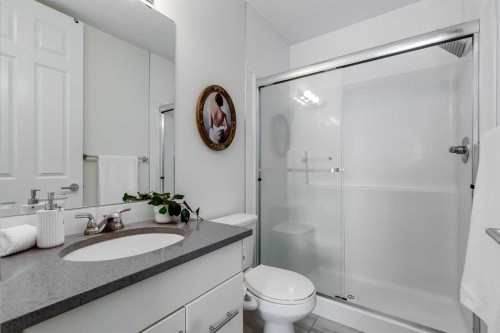3211-99 Copperstone Park Se, Calgary, AB - Indoor Photo Showing Bathroom