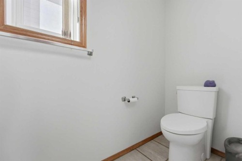 139 Saddlehorn Close Ne, Calgary, AB - Indoor Photo Showing Bathroom