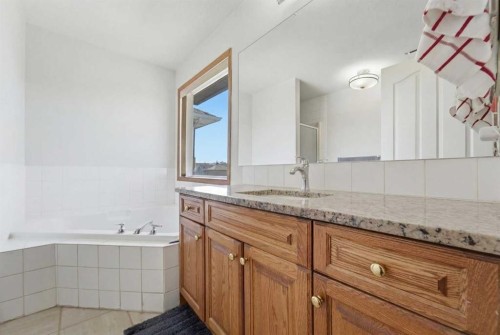 139 Saddlehorn Close Ne, Calgary, AB - Indoor Photo Showing Bathroom