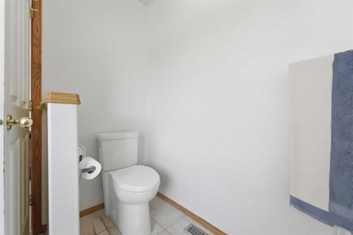 139 Saddlehorn Close Ne, Calgary, AB - Indoor Photo Showing Bathroom