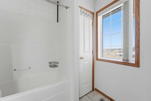 139 Saddlehorn Close Ne, Calgary, AB - Indoor Photo Showing Bathroom