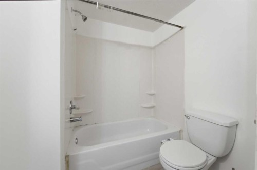 139 Saddlehorn Close Ne, Calgary, AB - Indoor Photo Showing Bathroom
