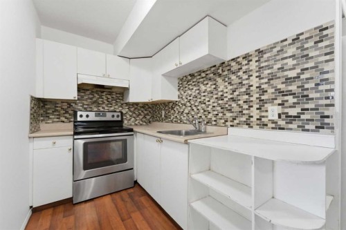 139 Saddlehorn Close Ne, Calgary, AB - Indoor Photo Showing Kitchen With Upgraded Kitchen