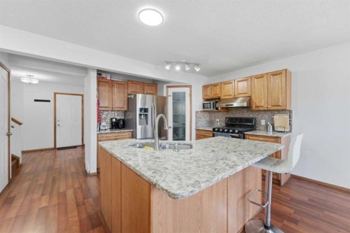 139 Saddlehorn Close Ne, Calgary, AB - Indoor Photo Showing Kitchen With Stainless Steel Kitchen With Upgraded Kitchen