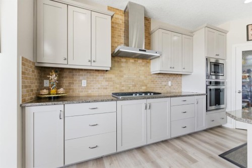 99 Marquis Cove Se, Calgary, AB - Indoor Photo Showing Kitchen With Upgraded Kitchen