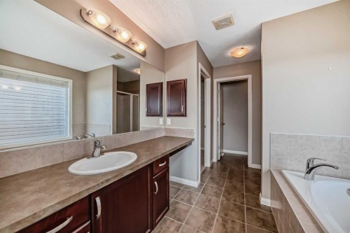 60 Sunset Circle, Cochrane, AB - Indoor Photo Showing Bathroom