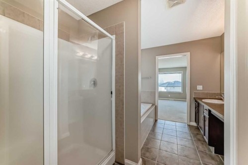 60 Sunset Circle, Cochrane, AB - Indoor Photo Showing Bathroom