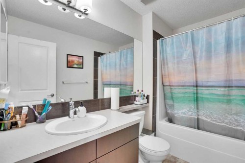 197 Skyview Springs Crescent Ne, Calgary, AB - Indoor Photo Showing Bathroom