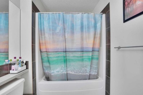 197 Skyview Springs Crescent Ne, Calgary, AB - Indoor Photo Showing Bathroom