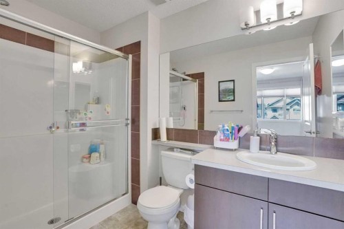 197 Skyview Springs Crescent Ne, Calgary, AB - Indoor Photo Showing Bathroom