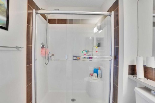 197 Skyview Springs Crescent Ne, Calgary, AB - Indoor Photo Showing Bathroom