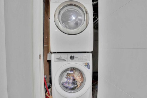 197 Skyview Springs Crescent Ne, Calgary, AB - Indoor Photo Showing Laundry Room