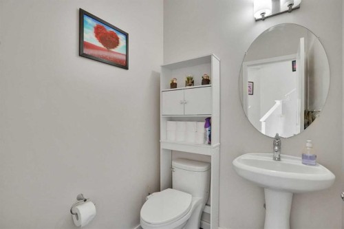 197 Skyview Springs Crescent Ne, Calgary, AB - Indoor Photo Showing Bathroom