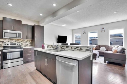 197 Skyview Springs Crescent Ne, Calgary, AB - Indoor Photo Showing Kitchen With Stainless Steel Kitchen With Double Sink With Upgraded Kitchen