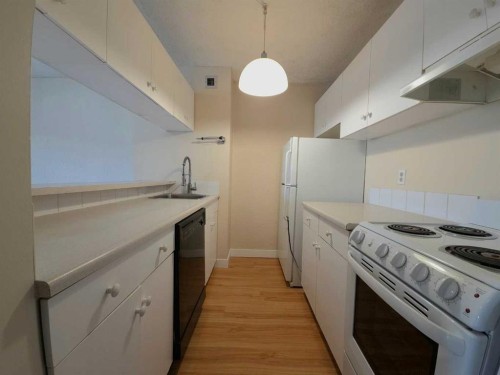 504-221 6 Avenue Se, Calgary, AB - Indoor Photo Showing Kitchen