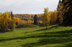 62076 James River Road Rural Clearwater County, AB T0M 1X0