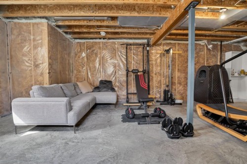 20 Carrington Circle Nw, Calgary, AB - Indoor Photo Showing Basement