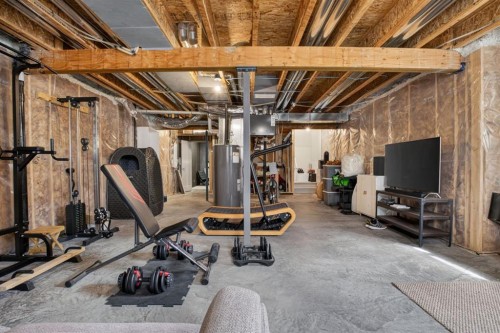 20 Carrington Circle Nw, Calgary, AB - Indoor Photo Showing Basement
