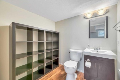 408 Rainbow Falls Way, Chestermere, AB - Indoor Photo Showing Bathroom