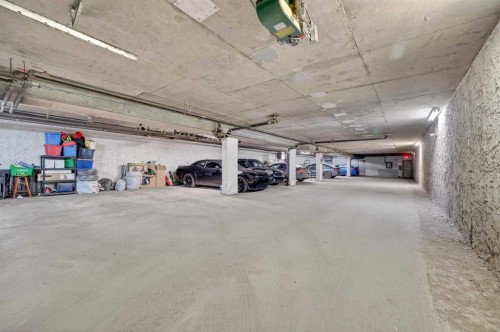 203-644 Meredith Road Ne, Calgary, AB - Indoor Photo Showing Garage