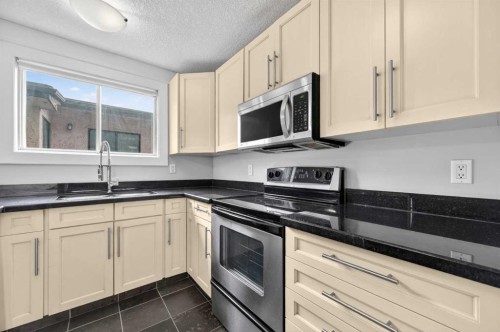 203-644 Meredith Road Ne, Calgary, AB - Indoor Photo Showing Kitchen