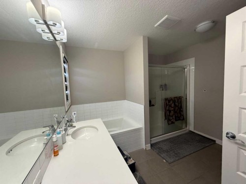 21 Red Embers Common Ne, Calgary, AB - Indoor Photo Showing Bathroom