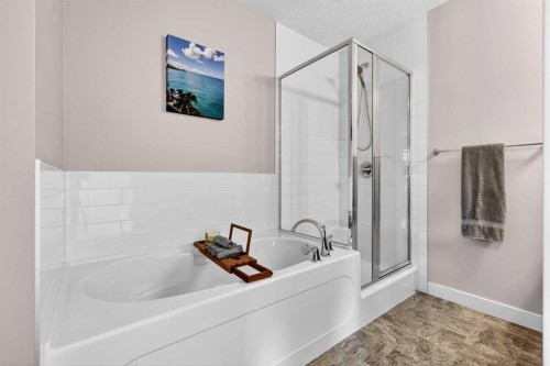 305 Seton Circle Se, Calgary, AB - Indoor Photo Showing Bathroom