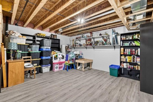 305 Seton Circle Se, Calgary, AB - Indoor Photo Showing Basement