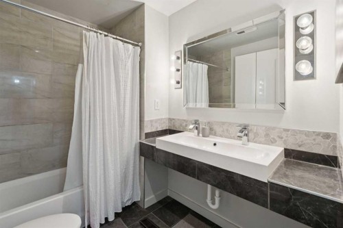 214 Springwood Place Sw, Calgary, AB - Indoor Photo Showing Bathroom