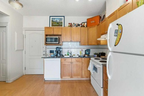 317-333 Riverfront Avenue Se, Calgary, AB - Indoor Photo Showing Kitchen With Double Sink