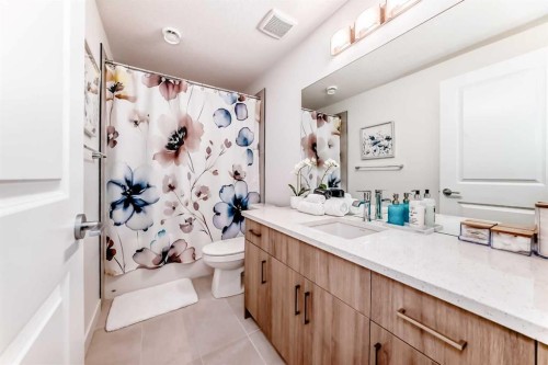 32 Sugarsnap Way Se, Calgary, AB - Indoor Photo Showing Bathroom